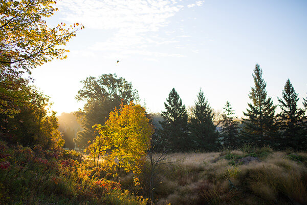 A sunrise over a nature scene in the Orono, MN area