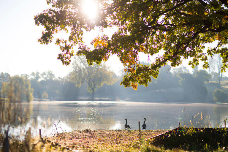 Lakeside view in a luxury land development in Orono MN