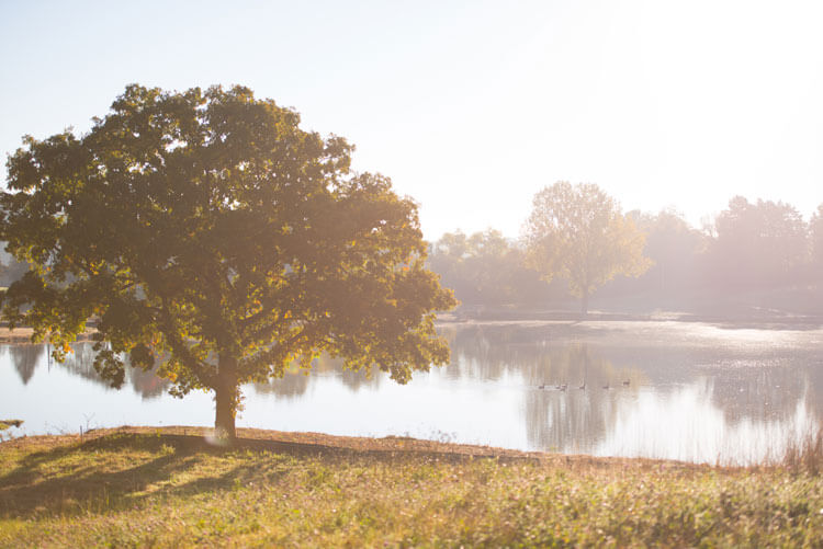 A beautiful sunrise over a Lakeview lake