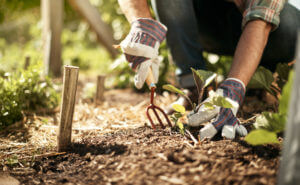 A landscaper working on a yard